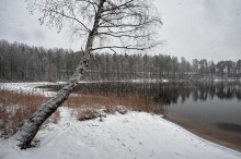 And it snows ... / 2 / ***