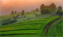 Carpathian line. / ***