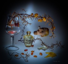 Autumn life ... / ***