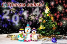 Snow family of / ***
