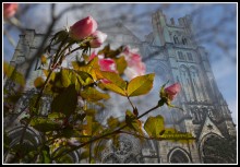 Cathedral at 112 Amsterdam and author. in Manhattan / ***