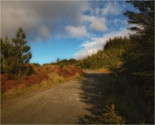 Mountain trails ... 10 ... / ***