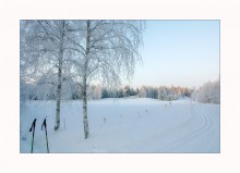 Of poles in the interior of a winter landscape / ***