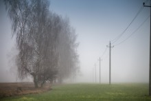 January fogs / ***