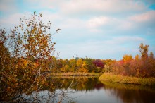 Autumn / ***
