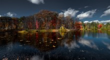 Transparent Autumn (Moriss Isl) / Transparent Autumn (Moriss Isl)