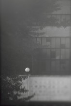 life vokrush / ***