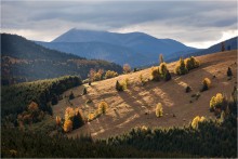 On the mountain slopes / ***