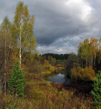 Just Fall / ***