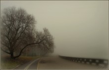 in the fog .... / olympus E 420, zuiko digital 14-42