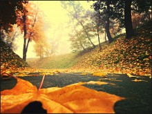 Autumn's Coming / ***
