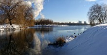 Urban winter lake. / ***