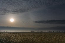 Morning frosty landscape / ***