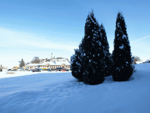 Winter 2014 / -20