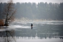 Fisherman on ice. / ***