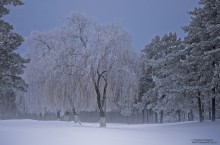 winter evening on the outskirts of the town / ***