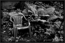 Chair / ***