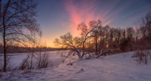 The January dawns I / ***