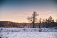 Winter morning at Sula / http://max-helloween.livejournal.com/98131.html