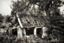 Time in spite of / ***