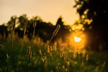 Sunset / ***