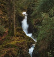 Glendalough in the thicket ... II ... / ***