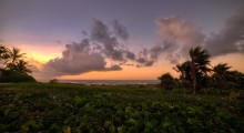 Roatan ~ sea edge / Roatan ~ sea edge