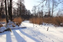Winter Stokhid / ***