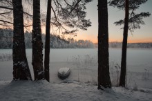 Frosty morning at dawn / ***