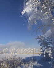 Blue, blue frost / ***