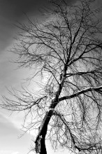 Winter loneliness / ***
