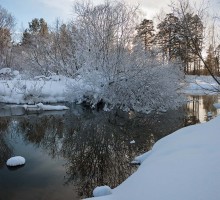 The charm of the young winter / ***