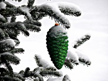 in anticipation of the new year / ***