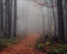 / Through the fog / / [img]http://fotki.by/originals/BBC/11/93_39bbc.jpg[/img]
