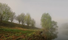 Foggy morning / ***