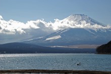 Serene morning Fuji-san / ***