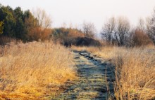 Frosty morning / ............