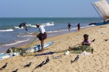 Coast Negombo / ***
