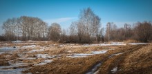 Spring day in February ... / +++