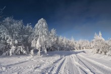 Winter road / ******
