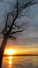 Sunset / ***