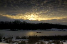 River, forest, sky / ***