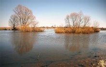 Flood / ***