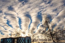 Weather forecast / ***