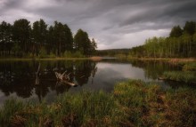 Evening on the lake in the woods ... 2 / ***