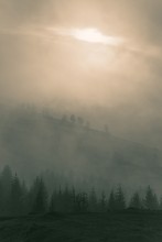 gloomy / ***