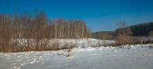 March sun / +++