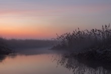 morning on the river / ***