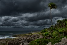 on edge of Playa Del Carmen / on edge of Playa Del Carmen