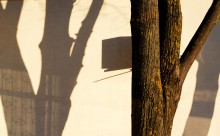 &nbsp; / -------------